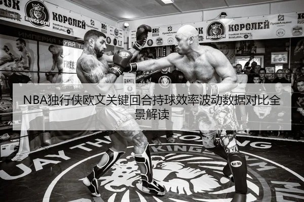NBA独行侠欧文关键回合持球效率波动数据对比全景解读