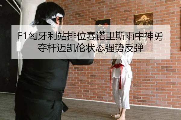 xiong-ya-li-zhan-pai-wei-sai-nuo-li-si-yu-zhong-shen-yong-duo-gan-mai-kai-lun-zhuang-tai-qiang-shi-fan-tan-2-412.jpg