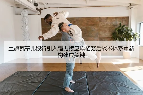 tu-chao-wa-ji-fu-yin-hang-yin-ru-qiang-li-jie-ying-ai-ge-nu-hou-zhan-shu-ti-xi-chong-xin-gou-jian-cheng-guan-jian-2-454.jpg